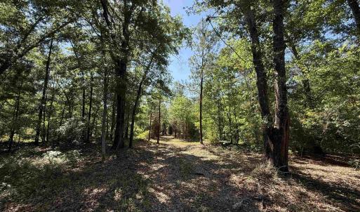 Photo #6 of 43 Acres - 5432 Juneburn Rd., Manning, SC 43.0 acres
