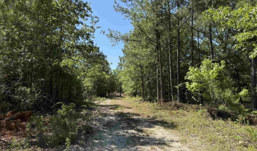 Photo #5 of 43 Acres - 5432 Juneburn Rd., Manning, SC 43.0 acres