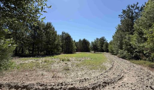 Photo #1 of 43 Acres - 5432 Juneburn Rd., Manning, SC 43.0 acres