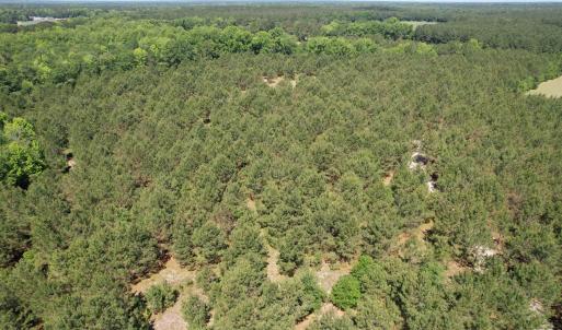 Photo #25 of 43 Acres - 5432 Juneburn Rd., Manning, SC 43.0 acres