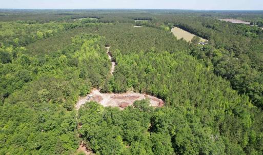 Photo #22 of 43 Acres - 5432 Juneburn Rd., Manning, SC 43.0 acres