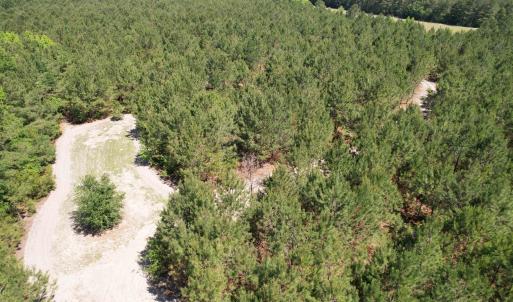 Photo #26 of 43 Acres - 5432 Juneburn Rd., Manning, SC 43.0 acres