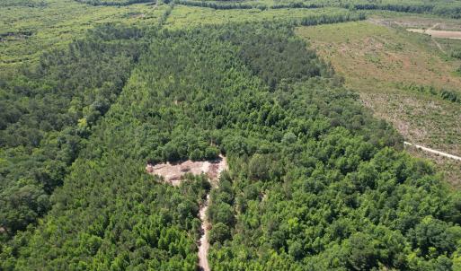 Photo #15 of 43 Acres - 5432 Juneburn Rd., Manning, SC 43.0 acres