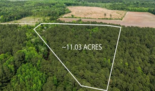 Photo #10 of 2850 Gause Rd., Loris, SC 11.0 acres