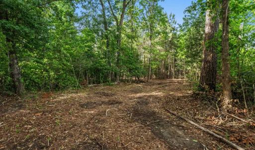 Photo #16 of 2850 Gause Rd., Loris, SC 11.0 acres