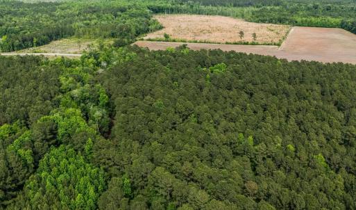 Photo #12 of 2850 Gause Rd., Loris, SC 11.0 acres