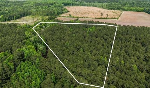 Photo #11 of 2850 Gause Rd., Loris, SC 11.0 acres