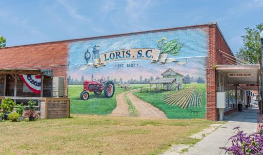 Photo #23 of 2850 Gause Rd., Loris, SC 11.0 acres