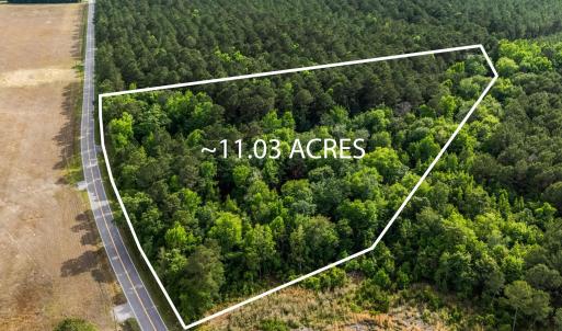 Photo #1 of 2850 Gause Rd., Loris, SC 11.0 acres