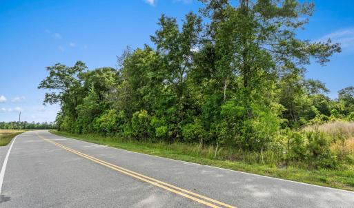 Photo #14 of 2850 Gause Rd., Loris, SC 11.0 acres