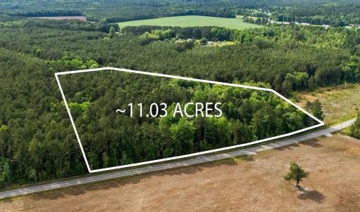 Photo #7 of 2850 Gause Rd., Loris, SC 11.0 acres