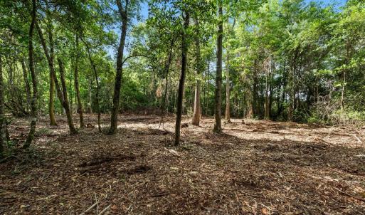Photo #18 of 2850 Gause Rd., Loris, SC 11.0 acres