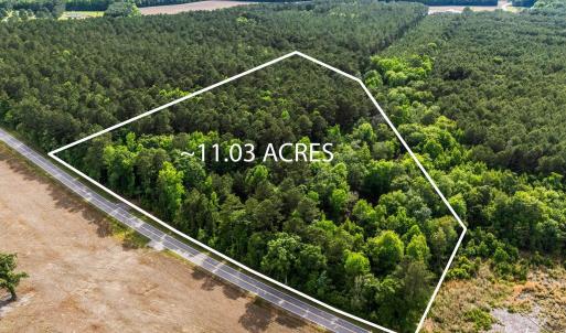 Photo #4 of 2850 Gause Rd., Loris, SC 11.0 acres