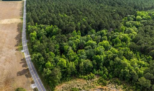 Photo #3 of 2850 Gause Rd., Loris, SC 11.0 acres