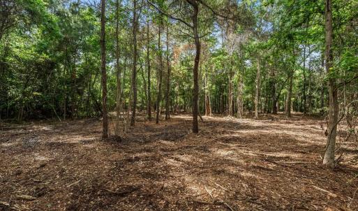 Photo #17 of 2850 Gause Rd., Loris, SC 11.0 acres