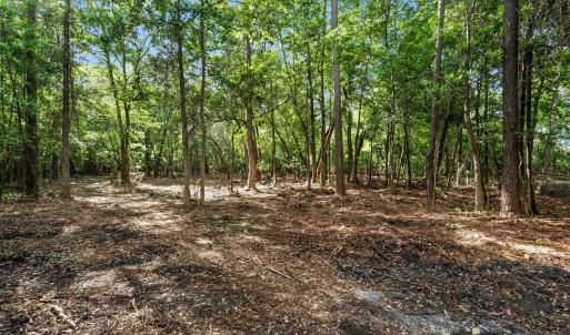 Photo #19 of 2850 Gause Rd., Loris, SC 11.0 acres