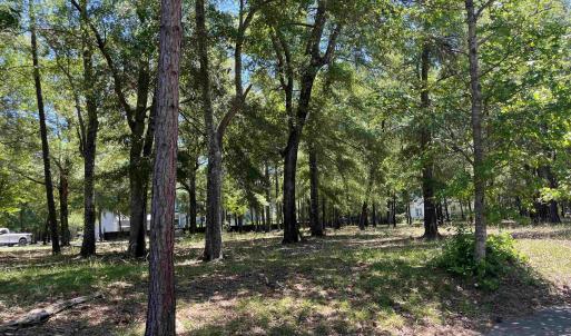 Photo #2 of 32 Crescent Dr., Georgetown, SC 0.1 acres