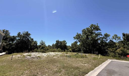 Photo #1 of 445 & 501 7th Ave. S, North Myrtle Beach, SC 0.2 acres