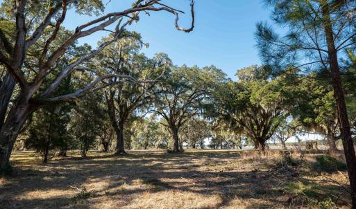 Photo #9 of 1939 Mauricena Rd., Georgetown, SC 1.0 acres