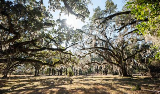 Photo #8 of 1939 Mauricena Rd., Georgetown, SC 1.0 acres