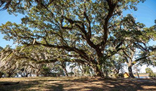 Photo #5 of 1939 Mauricena Rd., Georgetown, SC 1.0 acres