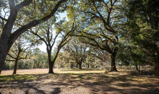 Photo #10 of 1939 Mauricena Rd., Georgetown, SC 1.0 acres