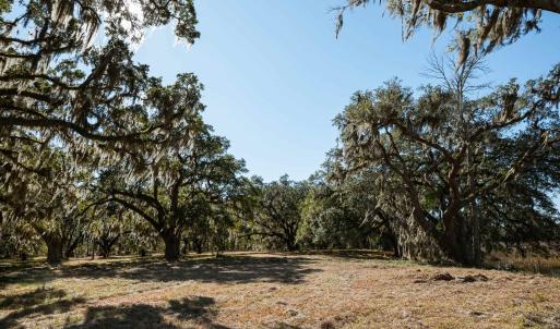 Photo #13 of 1939 Mauricena Rd., Georgetown, SC 1.0 acres