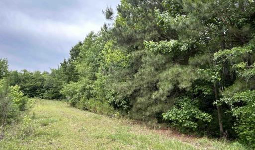 Photo #17 of 2680 Green Sea Rd., Green Sea, SC 112.0 acres