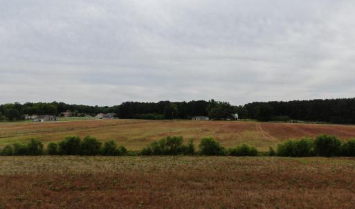 Photo #4 of 2680 Green Sea Rd., Green Sea, SC 112.0 acres