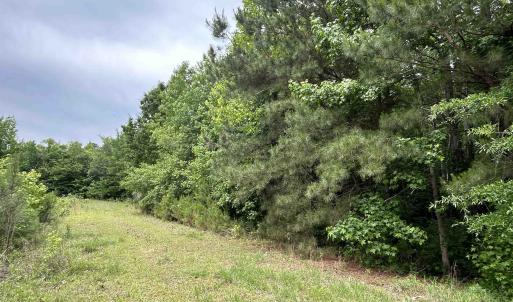 Photo #11 of 2680 Green Sea Rd., Green Sea, SC 112.0 acres