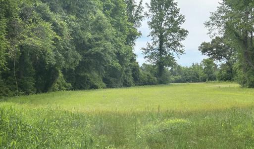 Photo #27 of 2680 Green Sea Rd., Green Sea, SC 112.0 acres