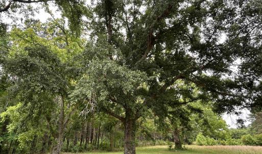 Photo #7 of 2680 Green Sea Rd., Green Sea, SC 112.0 acres