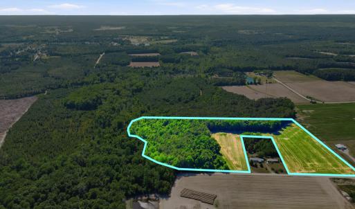 Photo #3 of TBD Sandy Ridge Rd., Galivants Ferry, SC 19.2 acres