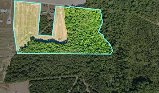 Photo #4 of TBD Sandy Ridge Rd., Galivants Ferry, SC 19.2 acres