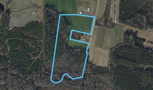 Photo #5 of TBD Sandy Ridge Rd., Galivants Ferry, SC 19.2 acres