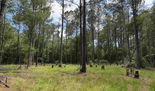 Photo #1 of 17.8 Acres-5871 Pennyroyal Rd., Georgetown, SC 17.8 acres