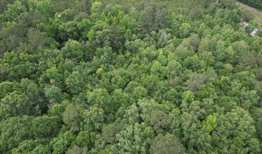 Photo #8 of 17.8 Acres-5871 Pennyroyal Rd., Georgetown, SC 17.8 acres