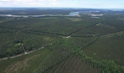 Photo #12 of 17.8 Acres-5871 Pennyroyal Rd., Georgetown, SC 17.8 acres