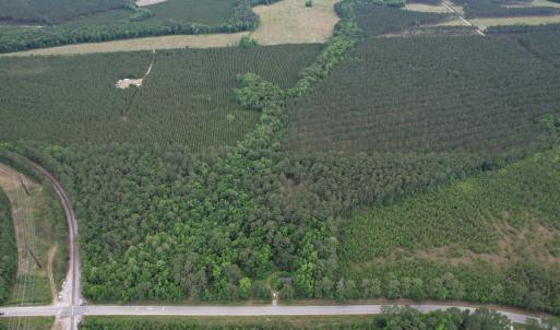 Photo #14 of 17.8 Acres-5871 Pennyroyal Rd., Georgetown, SC 17.8 acres