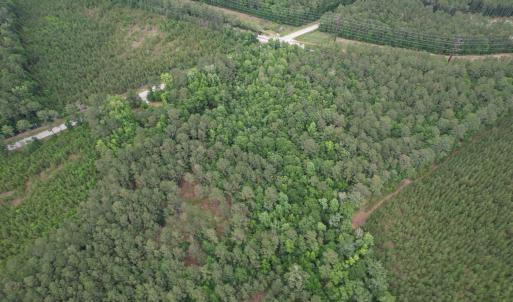 Photo #11 of 17.8 Acres-5871 Pennyroyal Rd., Georgetown, SC 17.8 acres