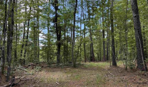 Photo #5 of 17.8 Acres-5871 Pennyroyal Rd., Georgetown, SC 17.8 acres