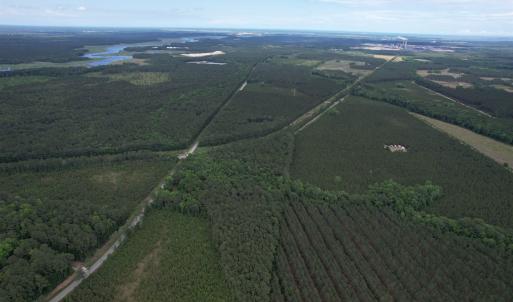Photo #13 of 17.8 Acres-5871 Pennyroyal Rd., Georgetown, SC 17.8 acres