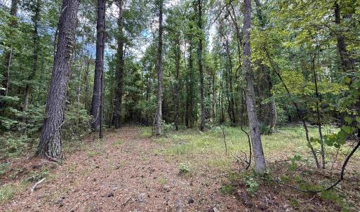 Photo #2 of 17.8 Acres-5871 Pennyroyal Rd., Georgetown, SC 17.8 acres