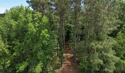 Photo #6 of 17.8 Acres-5871 Pennyroyal Rd., Georgetown, SC 17.8 acres