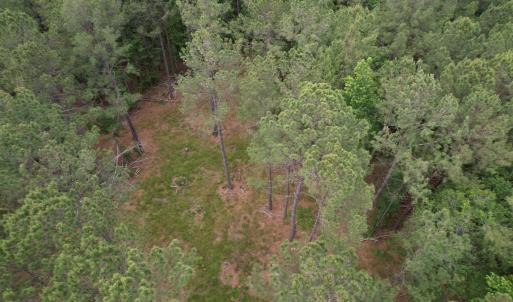 Photo #9 of 17.8 Acres-5871 Pennyroyal Rd., Georgetown, SC 17.8 acres