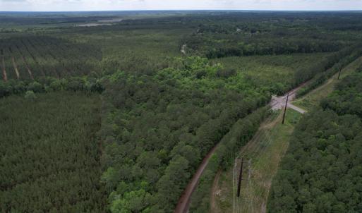 Photo #7 of 17.8 Acres-5871 Pennyroyal Rd., Georgetown, SC 17.8 acres