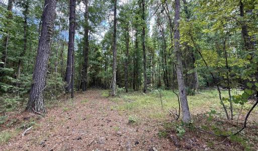 Photo #2 of 17.8 Acres-5871 Pennyroyal Rd., Georgetown, SC 17.8 acres