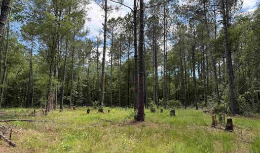 Photo #1 of 17.8 Acres-5871 Pennyroyal Rd., Georgetown, SC 17.8 acres