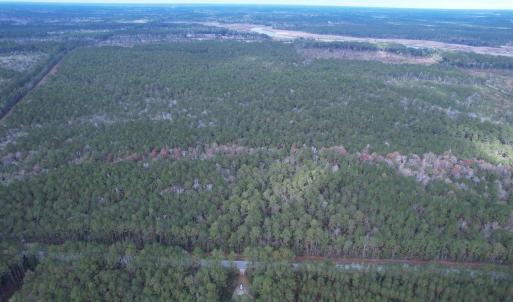 Photo #10 of Tract B - TBD Pennyroyal Rd., Georgetown, SC 5.5 acres