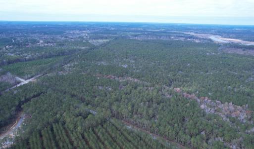 Photo #12 of Tract B - TBD Pennyroyal Rd., Georgetown, SC 5.5 acres